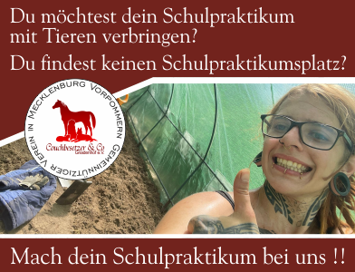 Werbebanner für ein Schulpraktikum mit der Frage, Du möchtest dein Schulpraktikum mit Tieren verbringen? und dem Couchbesetzer Logo. Eine lächelnde junge Frau mit Tätowierungen und Brille zeigt den Daumen hoch.