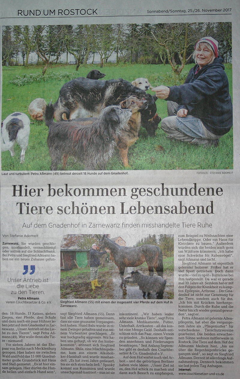 Ganze Seite eines Zeitungsartikels aus der Ausgabe vom Sonnabend/Sonntag, 25./26. November 2017 mit der Überschrift RUND UM ROSTOCK. Die Hauptschlagzeile lautet: Hier bekommen geschundene Tiere schönen Lebensabend.

Hauptbild (oben): Eine Frau, Petra Aßmann (49), kniet lächelnd auf einer Wiese und streichelt einen von mehreren Hunden um sie herum, darunter ein großer zotteliger Hund und ein Labrador.

Kleineres Bild (unten): Eine Aufnahme von Pferden und einem Esel oder Pony auf dem Hof. Eine Person in gelben Stiefeln steht daneben.

Textinhalt: Der Artikel von Stefanie Adomeit handelt vom Gnadenhof in Zarnewanz, der misshandelten Tieren Ruhe und ein Zuhause gibt, und stellt die Arbeit des Vereins Couchbesetzer und Co. e.V. vor, insbesondere von Petra und Siegfried Aßmann.